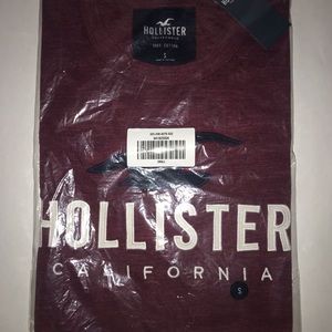 Hollister men t shirt Logo graphics
